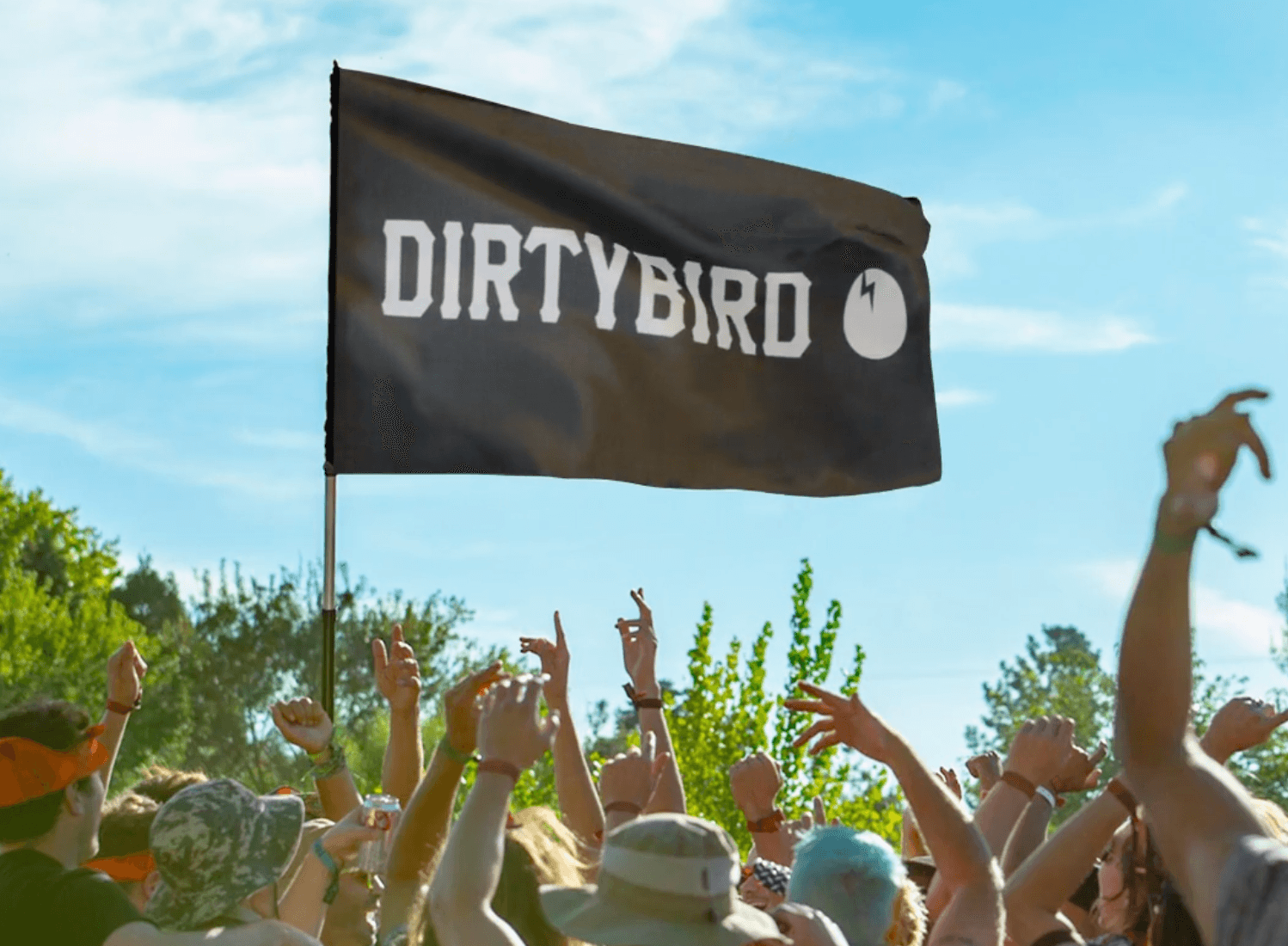 Dirtybird team