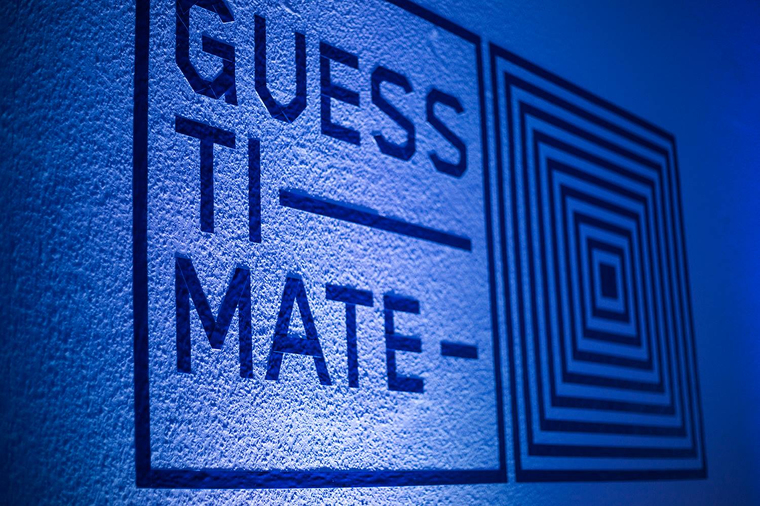 GUESSTIMATE team
