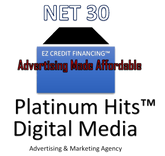 Platinum Hits Entertainment Inc logo