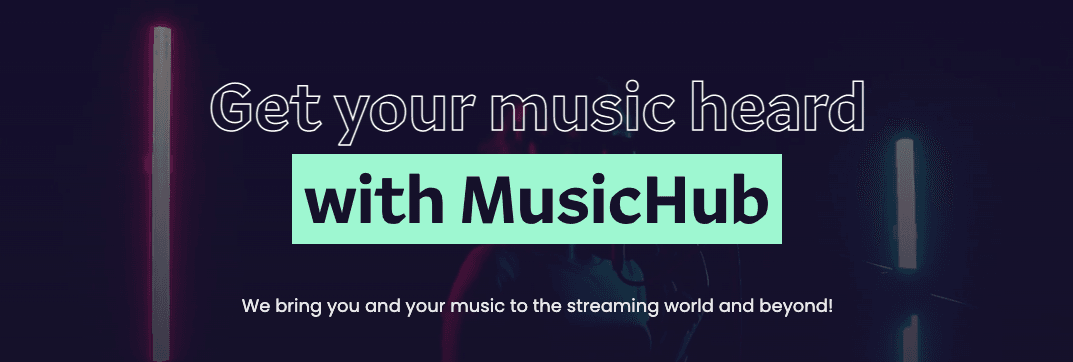 MusicHub team