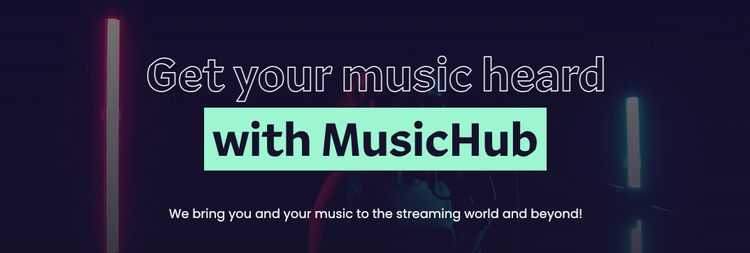 MusicHub team
