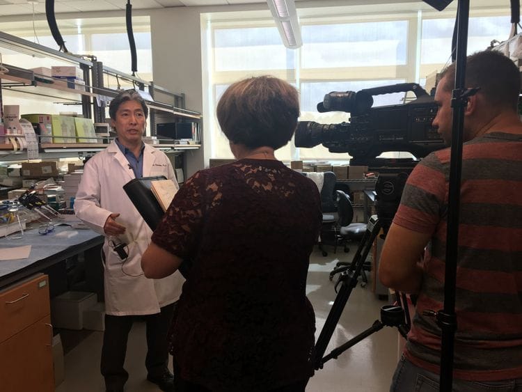 Ivanhoe Broadcast News, Inc. team